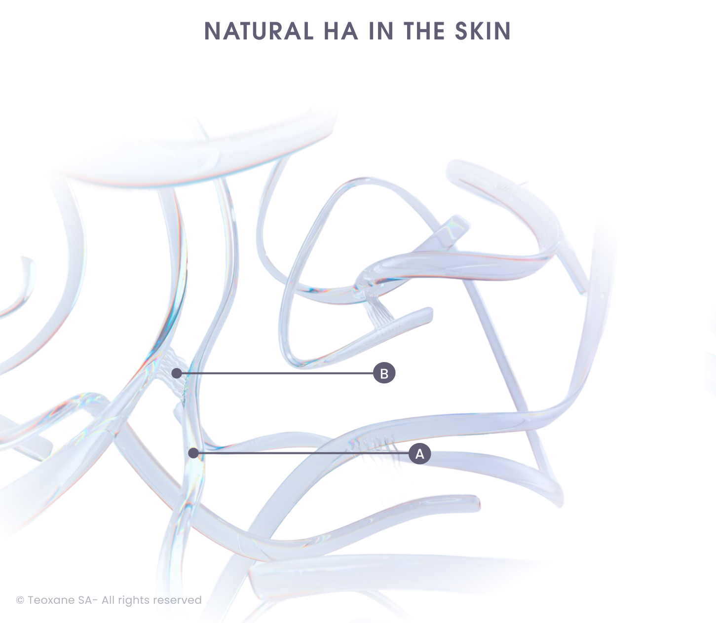 Ribbon like hyaluronic acid entangled throughout to display the science behind the RHA collection.