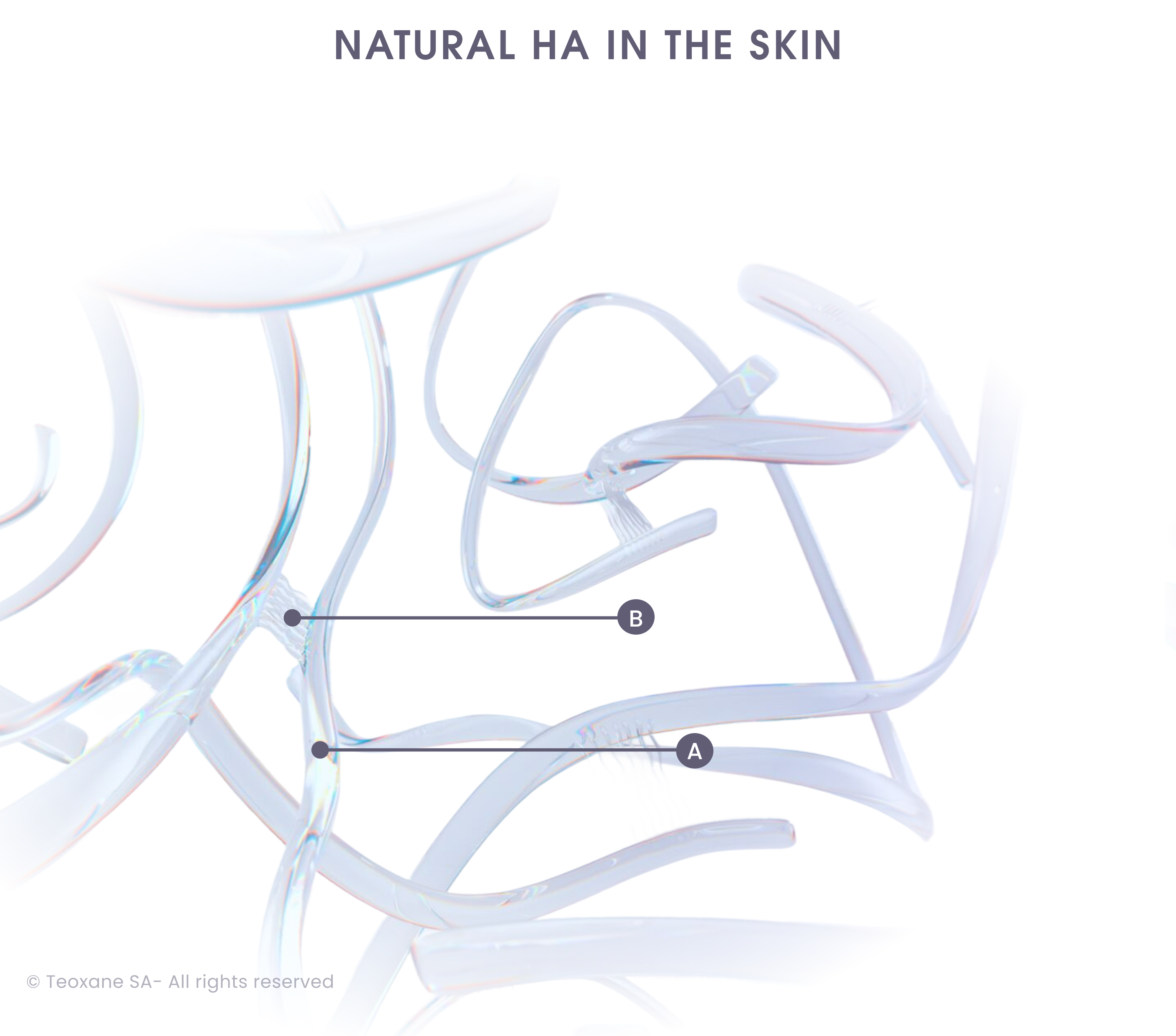 Ribbon like hyaluronic acid entangled throughout to display the science behind the RHA collection.