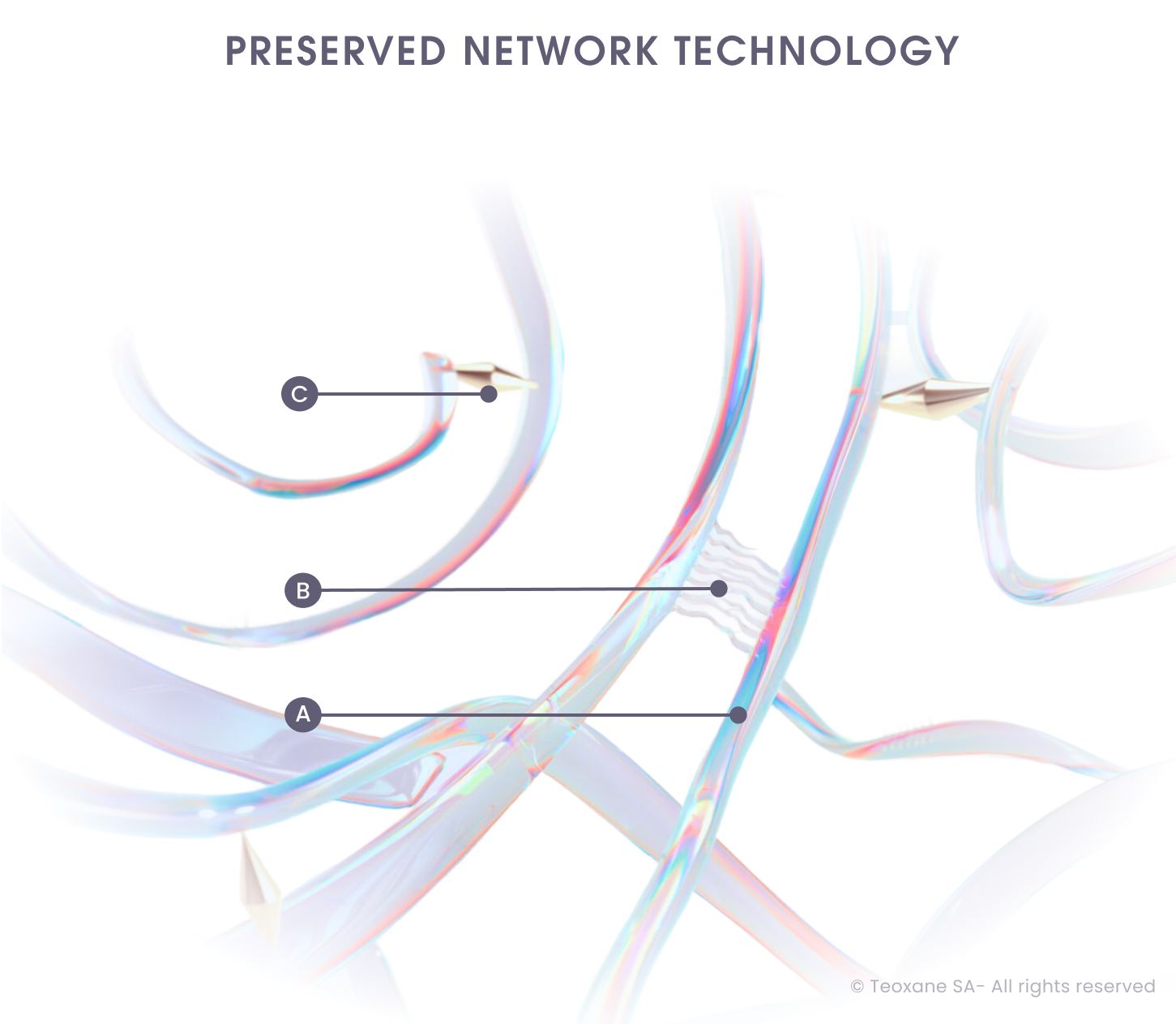 Ribbon like hyaluronic acid entangled throughout to display the science behind the RHA collection.
