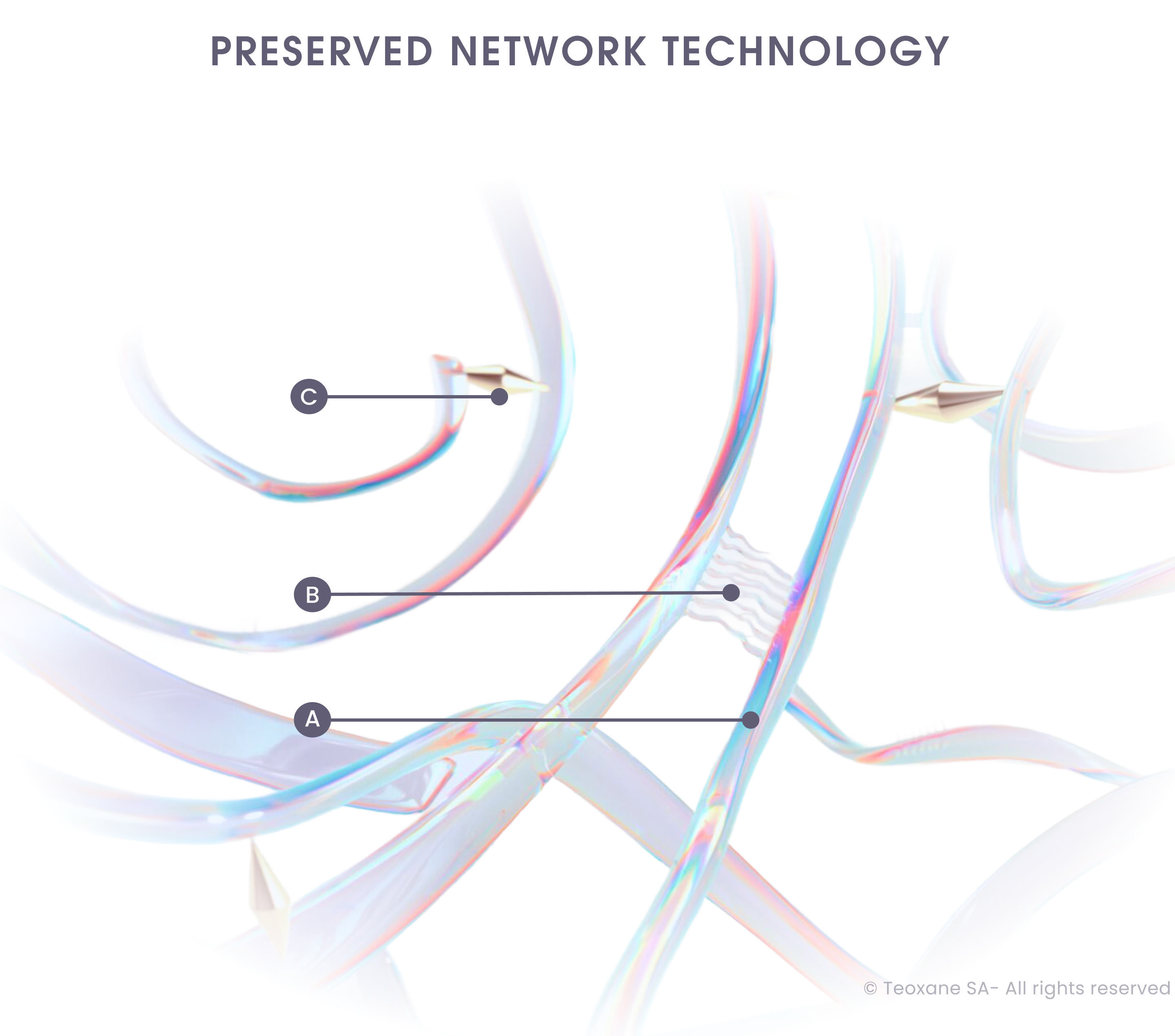 Ribbon like hyaluronic acid entangled throughout to display the science behind the RHA collection.